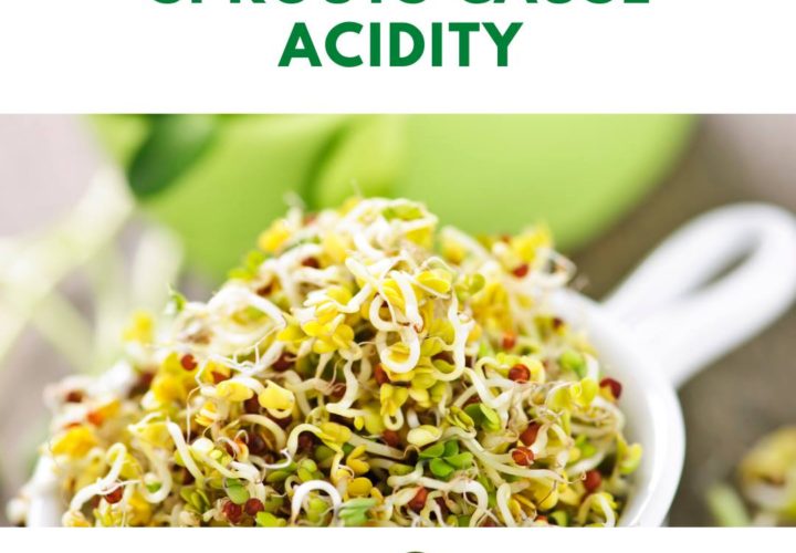 Sprouts cause acidity | Mythbuster | Wholefood