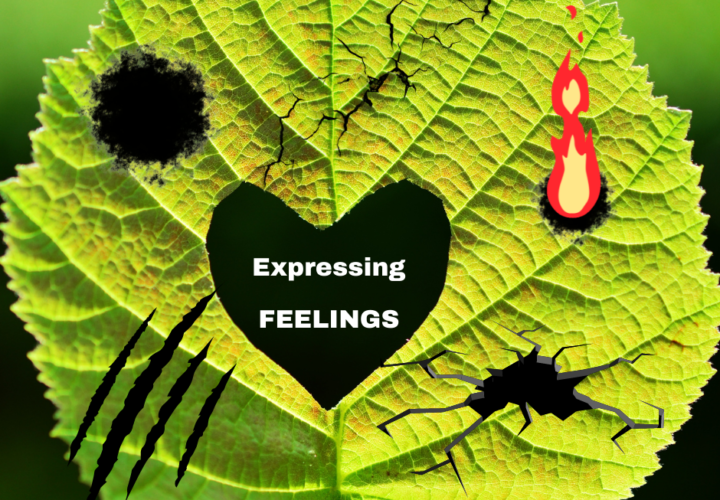 Expressing Feelings | Poshak Life blog