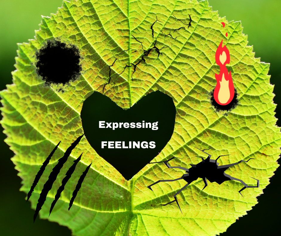 Expressing Feelings | Poshak Life blog