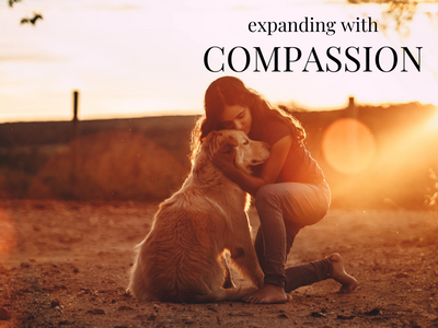 Expand with compassion | Poshak Life Blog