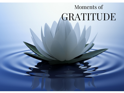 Moments of Gratitude | Poshak Life blog