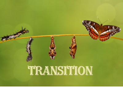 Transition | Poshak Life Blog