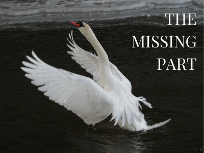 The Missing Part | Poshak Life blog