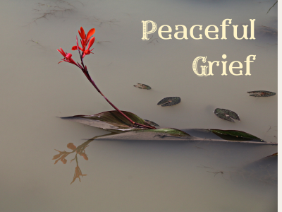 Peaceful Grief | Poshak Life blog