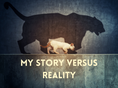 My Story versus Reality | Poshak Life blog